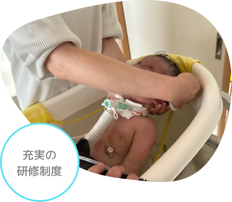 充実の研修制度